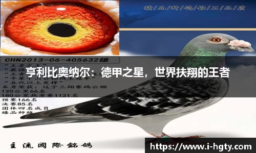 亨利比奥纳尔：德甲之星，世界扶翔的王者